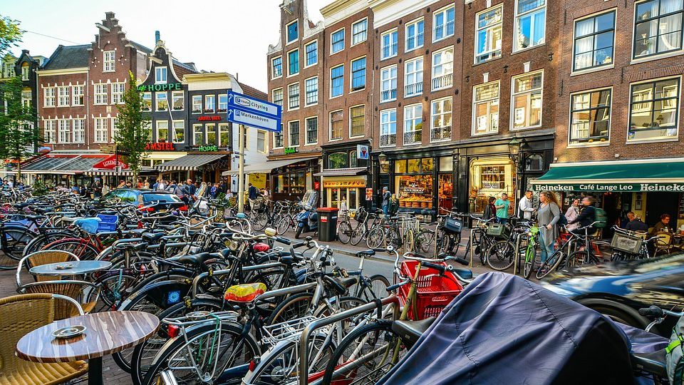 Olandų ir flamandų kalbų skirtumai | Skrivanek