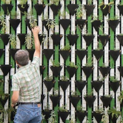 Populiariausi tvarumo terminai