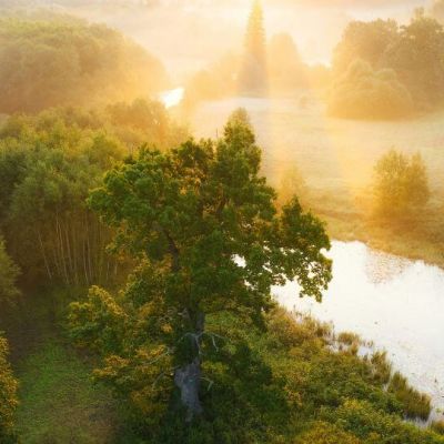 Svetainės lokalizacija