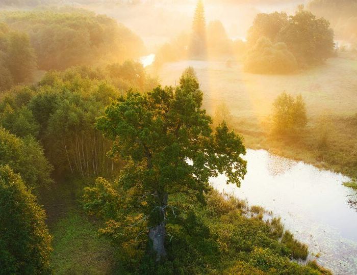 37 000 žodžių, trys kalbos ir viena misija – atverti regioną užsienio lankytojams