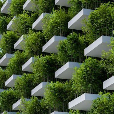 Tvarumo ataskaitų vertimai