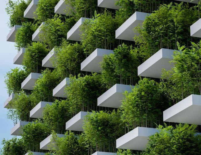 Tvarumo ataskaitų vertimas: kai svarbi ne tik kalba, bet ir atsakomybė