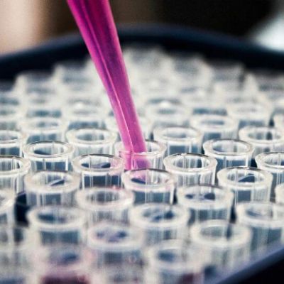 Medicininiai vertimai